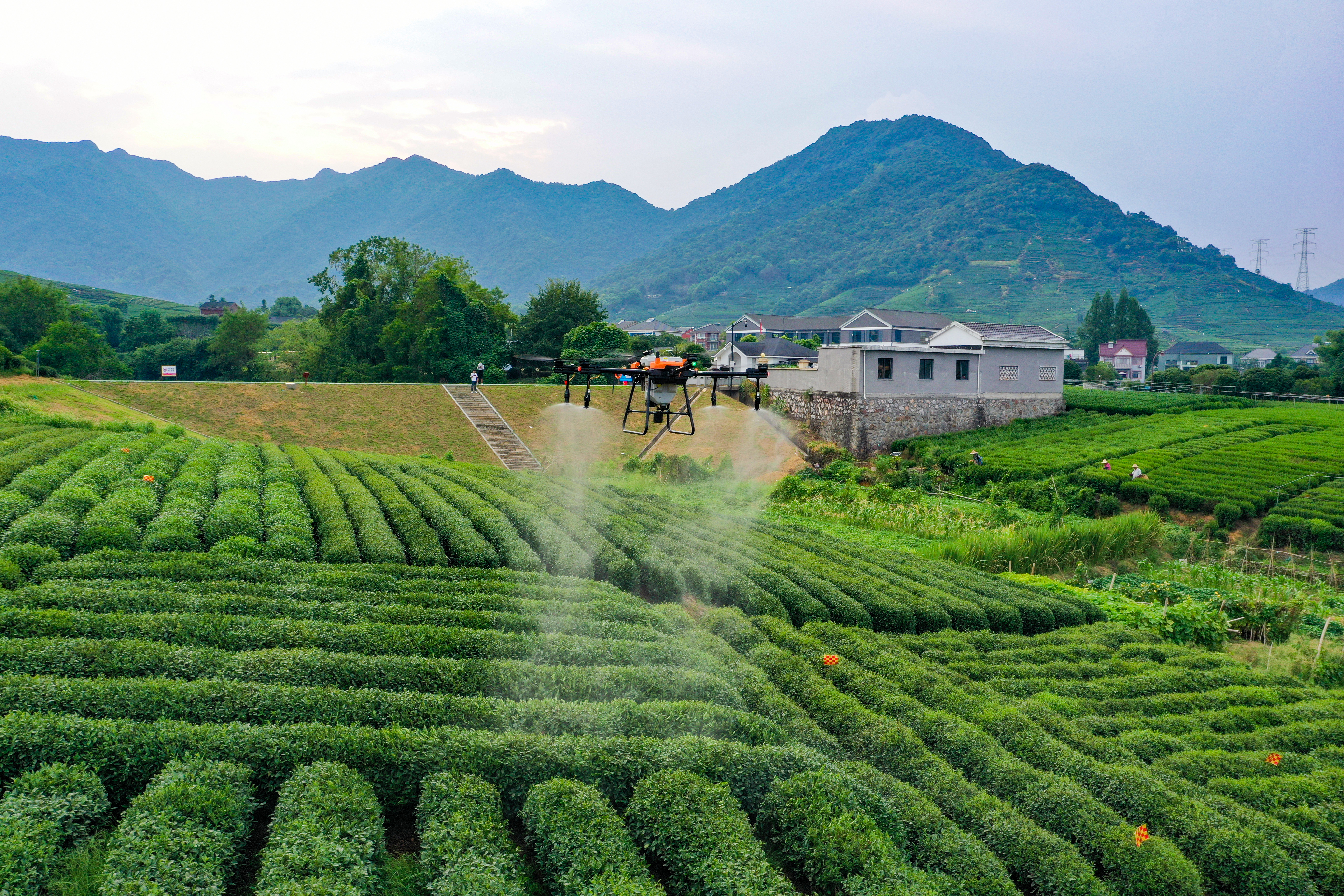 Quais licenças são necessárias para voar e pulverizar drones agrícolas nos Estados Unidos?